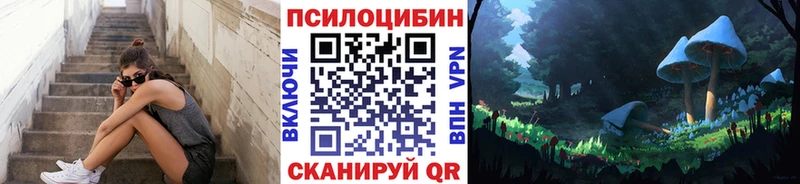 Галлюциногенные грибы прущие грибы  ссылка на мегу ССЫЛКА  Каменногорск  купить  
