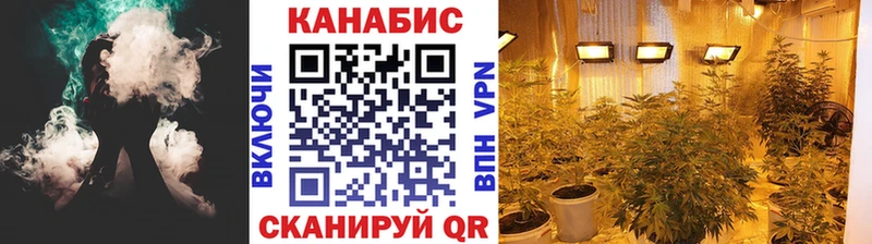 купить закладку  Каменногорск  МАРИХУАНА AK-47 